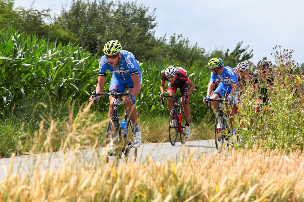 - korona_kocich_gor_2014_061.jpg