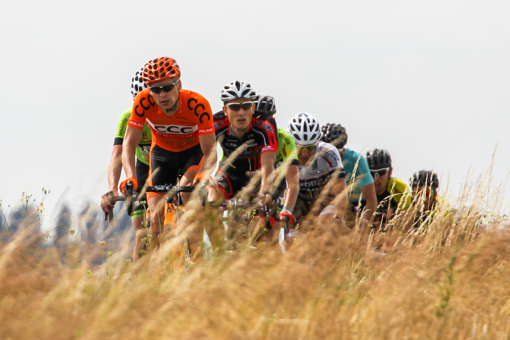 - korona_kocich_gor_2014_082.jpg