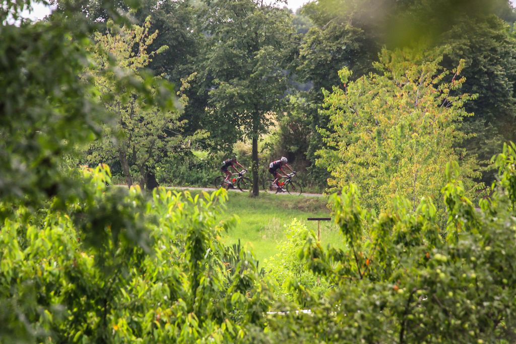 - korona_kocich_gor_2014_086.jpg