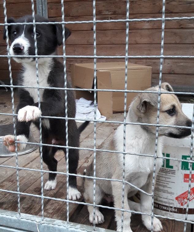 - 20160921_090025.jpg