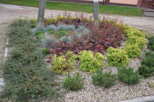 - cieletniki_2017_4.jpg