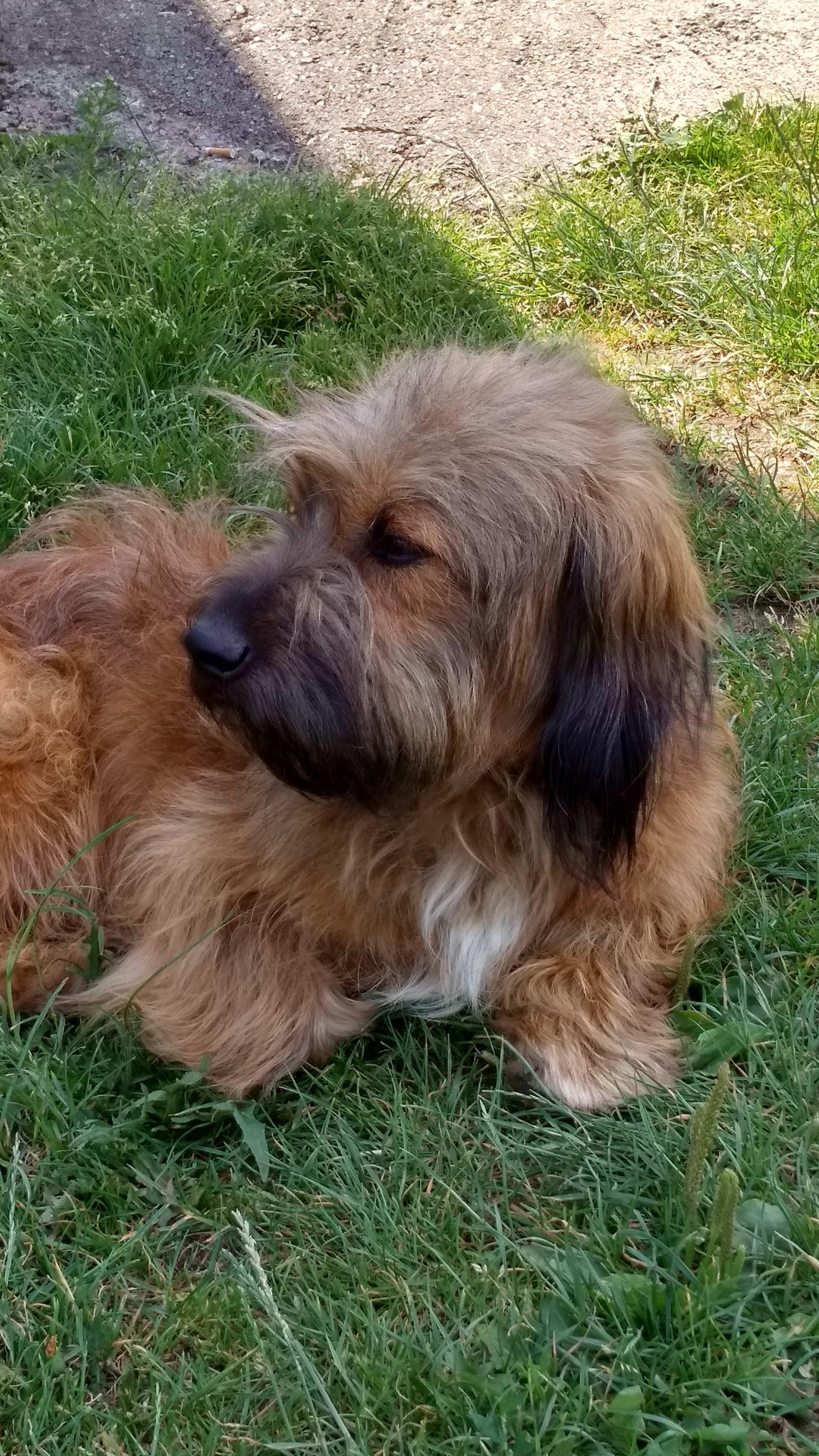 - img_20180629_124750_hdr.jpg