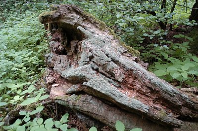 Rozmiar: 46602 bajtów